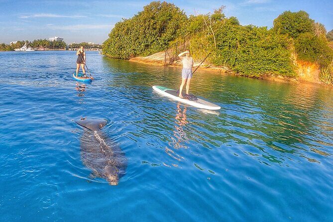 Private Jupiter Island Guided Paddle Boarding Tour - Final Thoughts: Who Should Book?