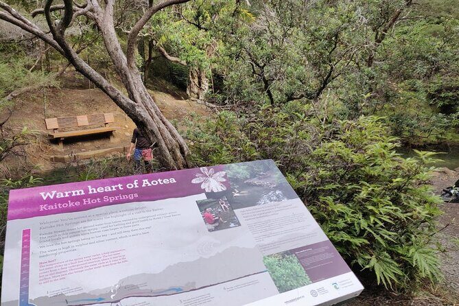 Private Kaitoke Hot Springs Soak and Walk Tour in Great Barrier - The Return Journey: A Comfortable Flight Home