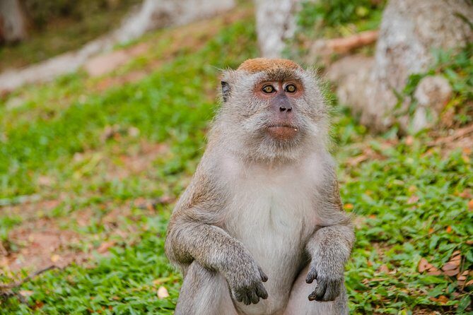 Private Kanching Waterfalls with Batu Caves & Ramayana Caves Tour - FAQs