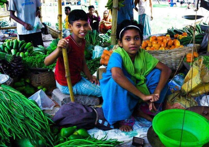 Private Kandy City Tuk-Tuk Tour and Cultural Dance Show - Who Will Benefit Most from This Tour?