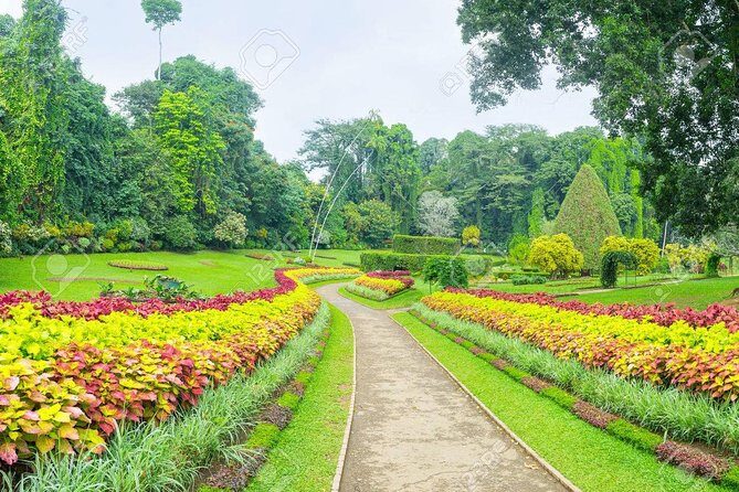 Private Kandy Day Tour from Colombo - Who Should Consider This Tour?