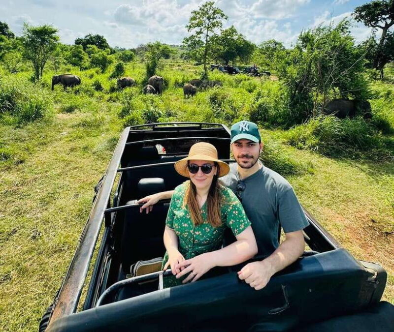 Private Kandy to Sigiriya and Minneriya Safari Day Tour - Key Points