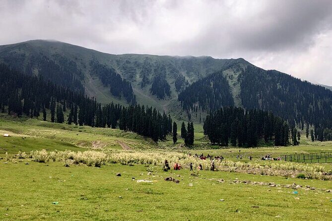 Private Kashmir Family 7-Day Tour - Key Points