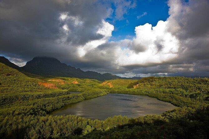 Private Kauai 5-Hour Eastside & Waterfalls Tour - What We Love About This Tour