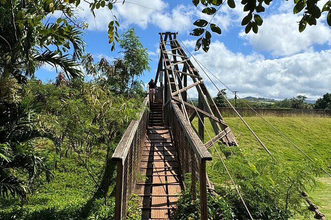 Private Kauai Island Tour : Waimea Canyon, Kalalau Lookout + More - The Bottom Line: Is It Worth It?