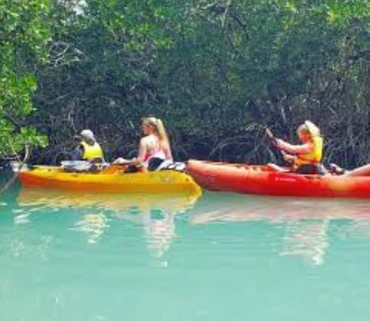 Private: Kayak Adventure at Los Haitises Sunrise Exploration - Exploring Los Haitises with a Kayak: A Closer Look