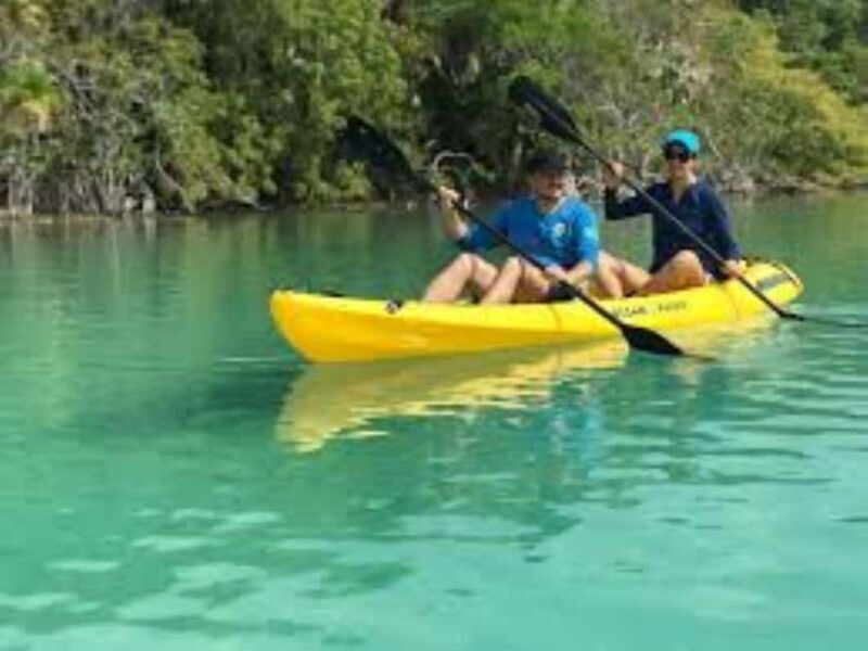 Private: Kayak Adventure at Los Haitises Sunrise Exploration - Who Would Love This Tour?