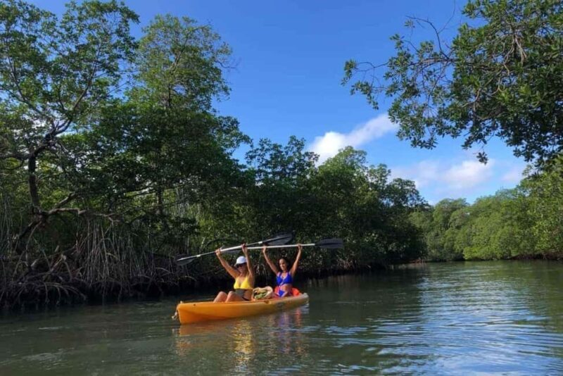 Private: Kayak Adventure at Los Haitises Sunrise Exploration - The Sum Up