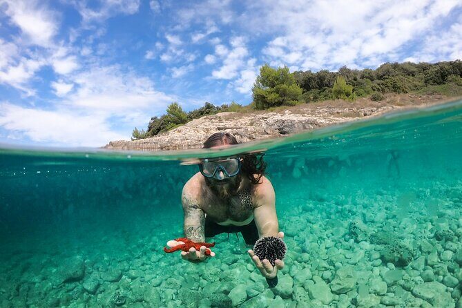 Private kayak tour: Explore the caves and turquoise bays in Pula - Who Will Love This Tour?