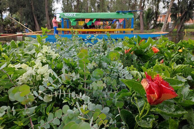 Private kayaks tour in Xochimilco & Cuicuilco pyramid - Final Word