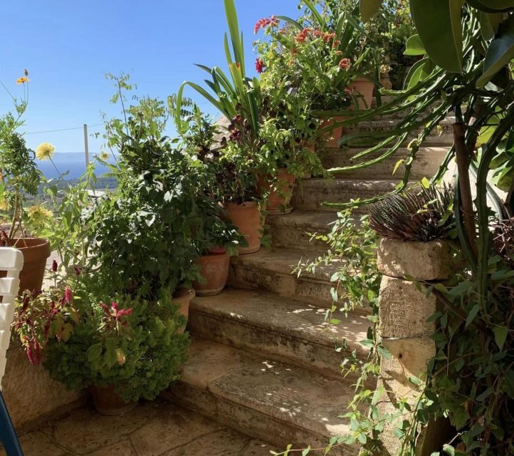 Private Kefalonia eBike Adventure-Explore Nature & Tradition - Final Thoughts