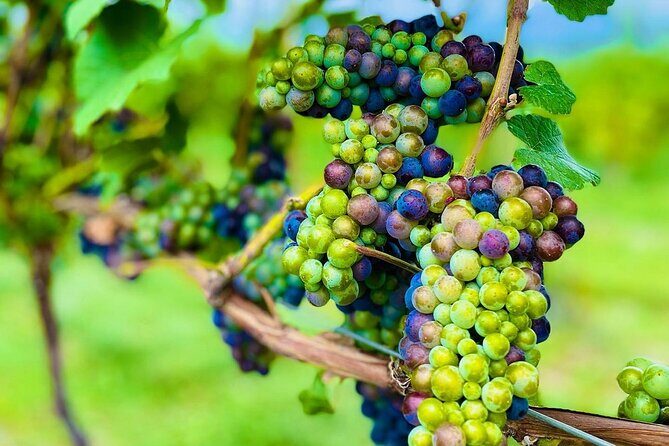 Private Kelowna Sip Tour - Exploring the Kelowna & Okanagan Valley on Your Terms