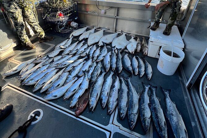 Private Ketchikan Halibut and Salmon Fishing Charter - Final Words: Who Should Book This Tour?