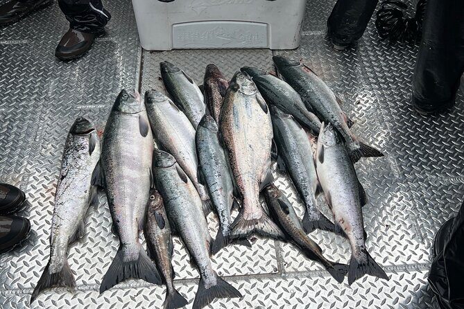 Private Ketchikan Wild Alaskan Salmon Fishing Trip - Frequently Asked Questions