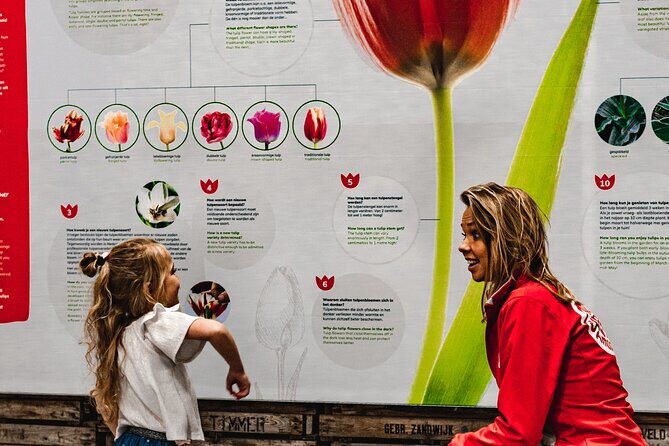 Private Keukenhof Gardens and Tulip Fields Tour from Amsterdam - Discover the Beauty of Holland’s Tulips with a Private Keukenhof Tour