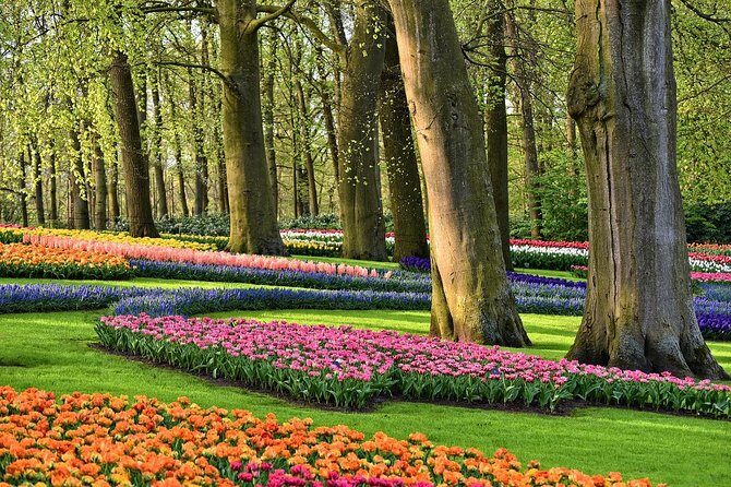 Private Keukenhof Gardens and Tulip Fields Tour from Amsterdam - Key Points
