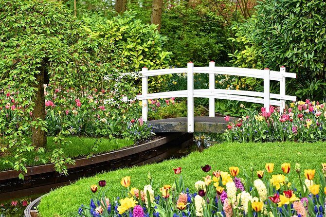 Private Keukenhof Gardens and Tulip Fields Tour from Amsterdam - The Sum Up