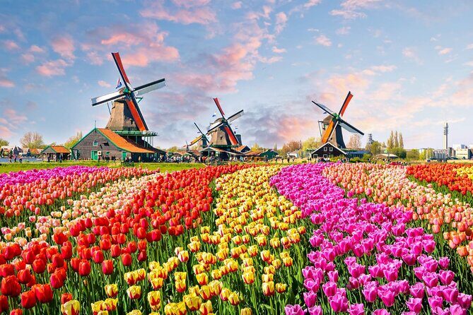 Private Keukenhof Tulip Fields Tour From Amsterdam(Skip-The-Line) - Price & Value: Is It Worth It?