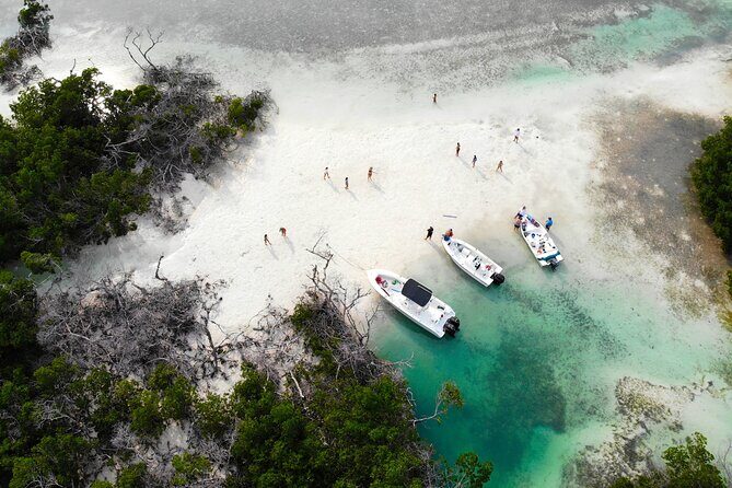 Private Key West Fishing & Sandbar or Snorkel Charter - A Deeper Look at the Experience