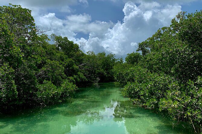 Private Key West Sandbar and Paddle by Boat - The Sum Up