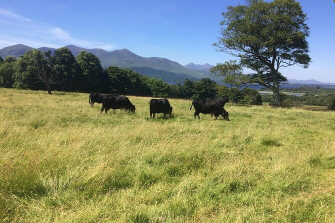Private Killarney Tour - FAQs