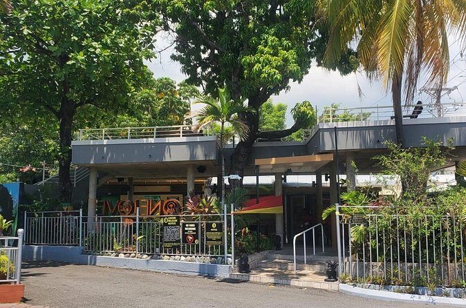 Private Kingston and Bob Marley Museum Tour from Ocho Rios - FAQs