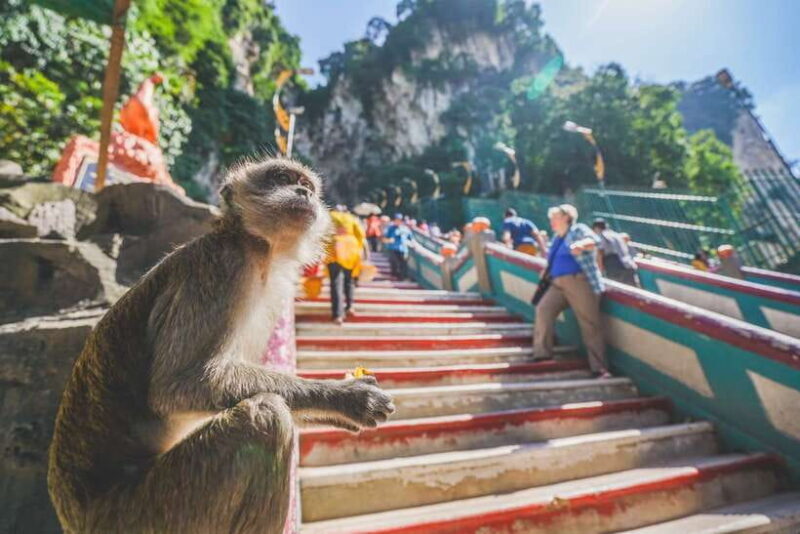 Private KL City Tour with Petronas Twin Towers & Batu Caves - Who Is This Tour Best For?