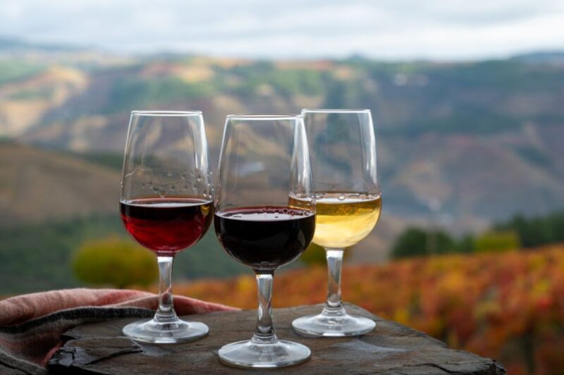 Private Knossos Skip The Line Tour inc. lunch & wine tasting - Final Thoughts