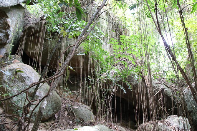 Private Koh Phangan Land Tour - Who Will Love This Tour?