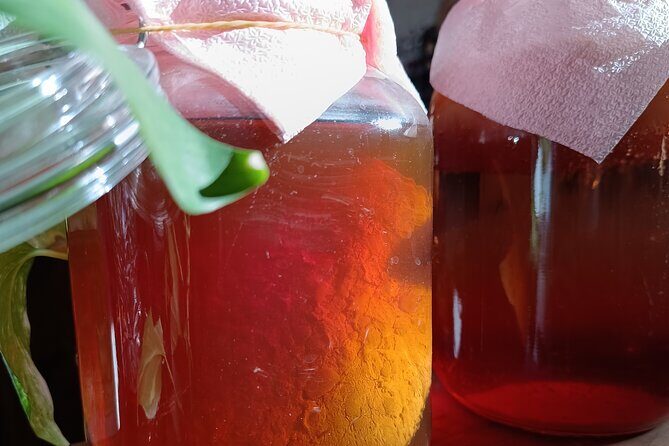 Private Kombucha Making Workshop in Cyprus - FAQs