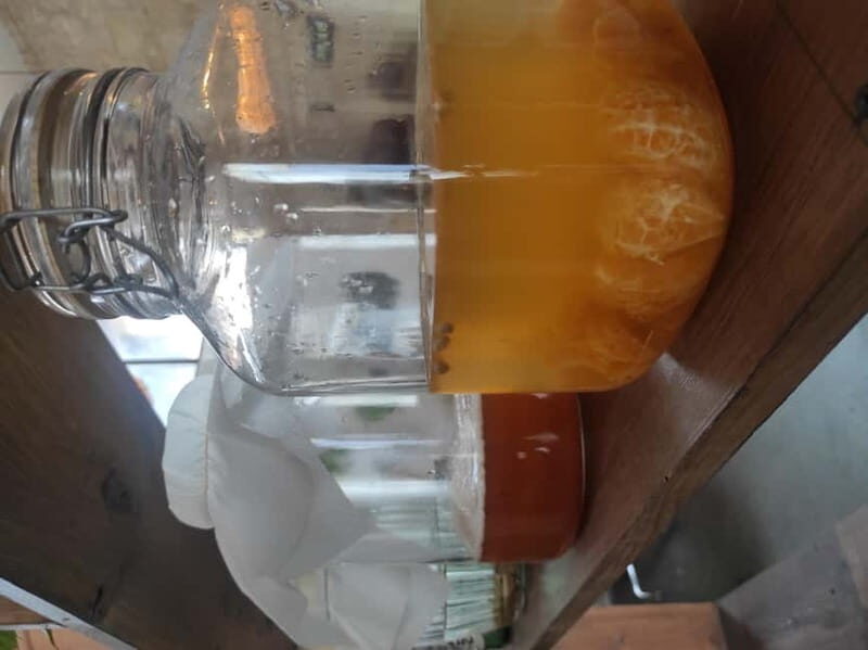 Private Kombucha Making Workshop in Cyprus - Key Points
