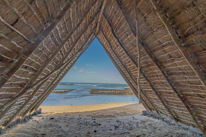 Private Kona Coffee and National Historic Parks Tour - Who Will Love This Tour?