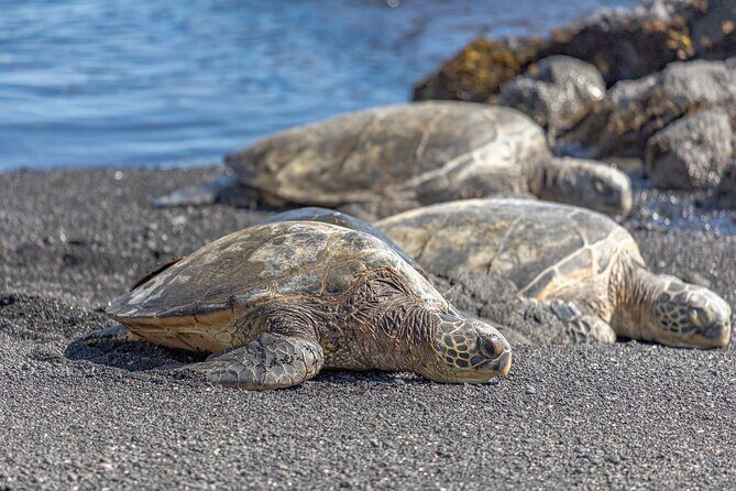 Private Kona Coffee and National Historic Parks Tour - The Sum Up