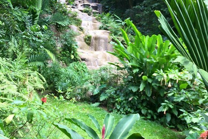 Private Konoko Falls and Dunn's River Combo Tour from Ocho Rios - First Impressions of the Private Konoko Falls and Dunn’s River Combo Tour