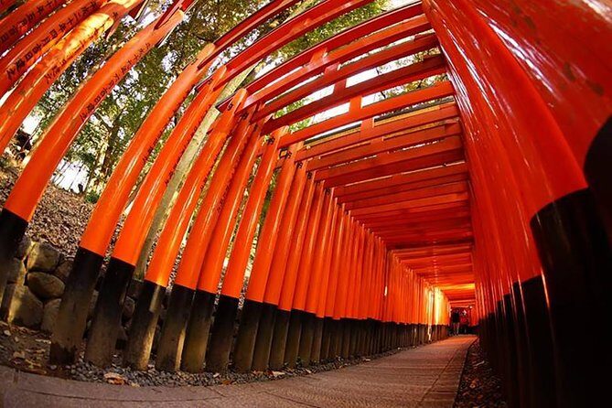 Private Kyoto Custom One Day Tour by Chartered Vehicle - An In-Depth Look at This Kyoto Private Tour