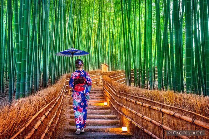 Private Kyoto-Nara Tour from Osaka with Hotel Pickup and Drop off - Final Thoughts: Who Will Love This Tour?