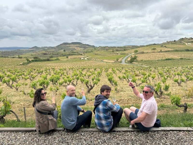 Private La Rioja Day: Visit 2 Premium Wineries with lunch. - Who Should Consider This Tour?