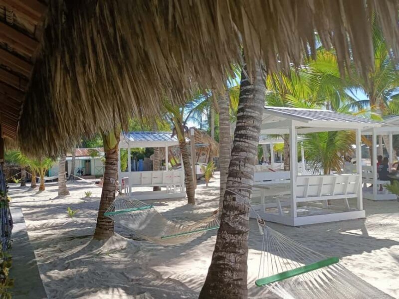 Private: La Romana, Catalina Island Snorkeling & Beach Trip - Exploring Catalina Island from La Romana: A Practical and Authentic Day Trip