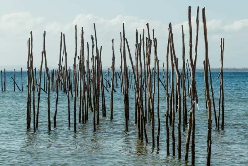 Private: Lago Enriquillo Boat & Wildlife Discovery Tour - Practical Details and What to Expect