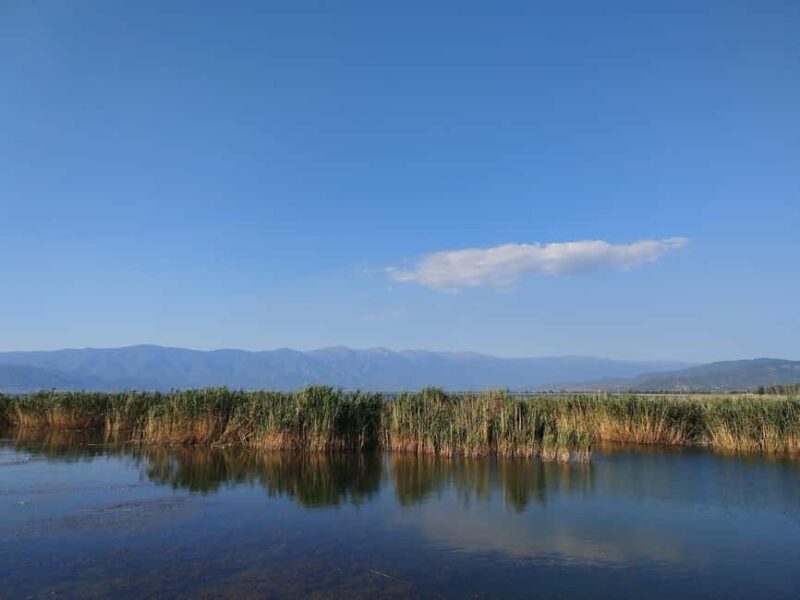 Private: Lago Enriquillo Boat & Wildlife Discovery Tour - The Sum Up