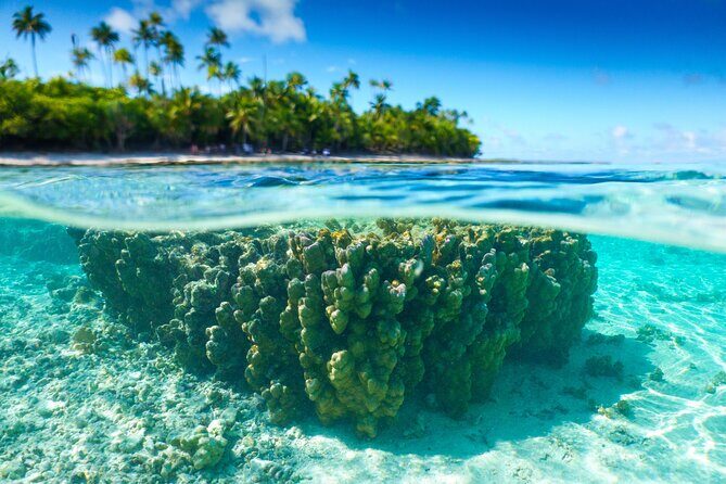 Private Lagoon Cruise Maxi Catamaran Experience Bora Bora - Key Points