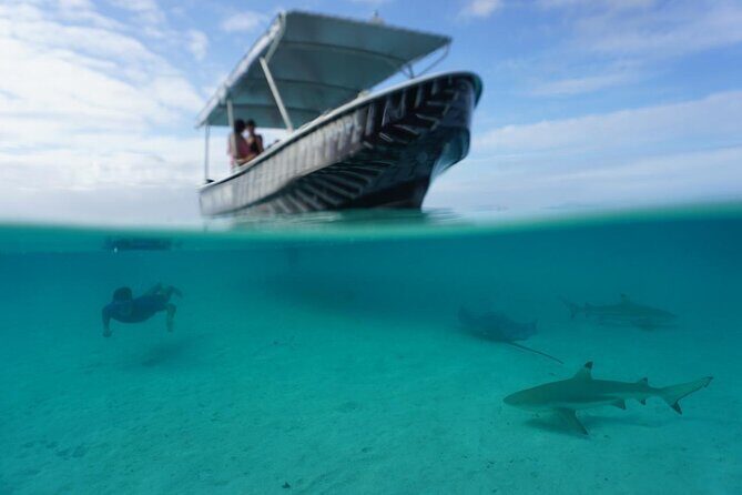 Private Lagoon Exploration and Snorkeling in Moorea - Key Points