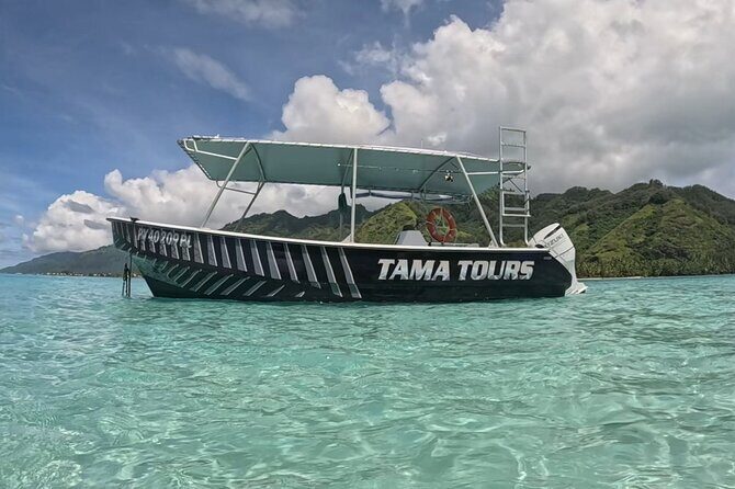 Private Lagoon Exploration and Snorkeling in Moorea - The Sum Up