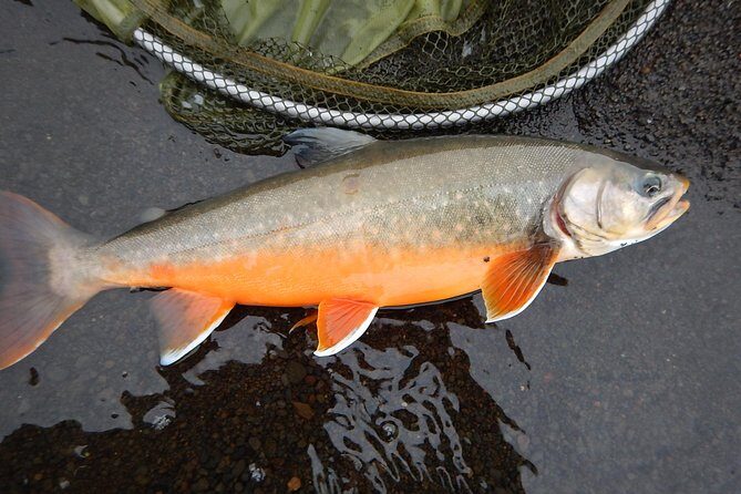 Private Lake and River Fishing Tour from Reykjavik - Final Thoughts