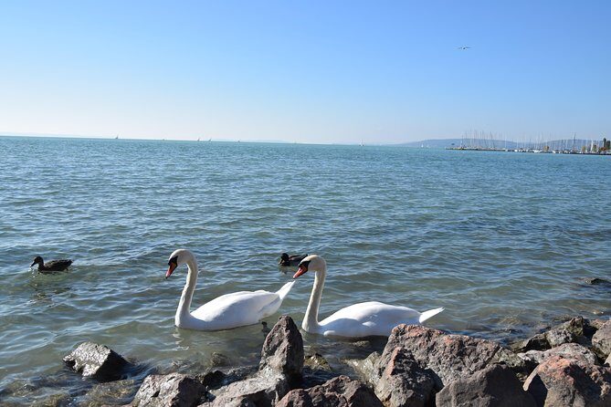 Private Lake Balaton Experience with an unforgettable Wine Tasting - FAQ