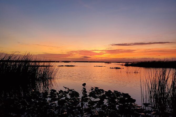 Private Lake Istokpoga Bass Fishing Charter in Sebring - Final Thoughts: Is This Tour Worth It?