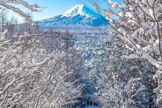 Private Lamborghini Tour in Tokyo,Daikoku PA JDM - FAQ