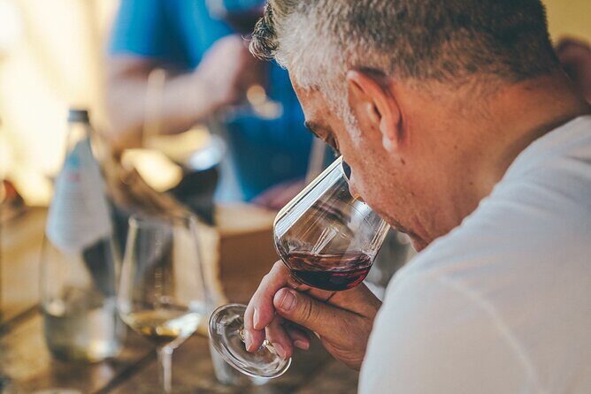 Private Langhe and Barolo Wine Tour from Milan - Key Points
