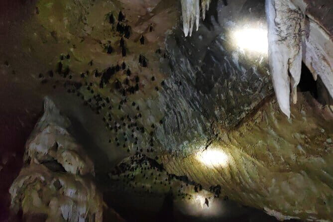 Private Langkawi Mangrove Forest Boat Tour Tg Rhu with Lunch - FAQs About the Langkawi Mangrove Forest Boat Tour