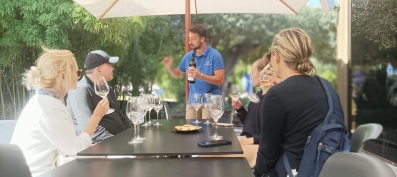 Private Lisbon Arrábida Wine Tour: Culture, Scenery & Wines - Discover Portugal’s Arrábida Vineyards with a Private Wine Tour from Lisbon